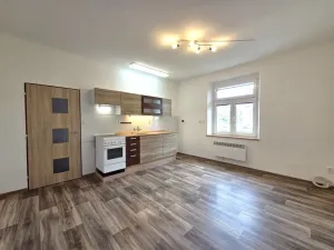 Pronájem bytu 1+1, České Budějovice - České Budějovice 3, Pekárenská, 51 m2