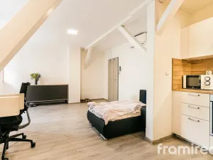 Pronájem bytu 1+kk, Brno - Pisárky, Hlinky, 30 m2