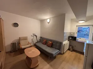 Pronájem bytu 1+kk, Liberec, 28 m2