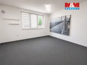 Pronájem kanceláře, Karviná - Nové Město, U Bažantnice, 133 m2