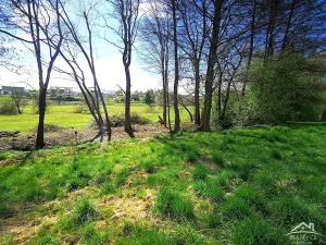Prodej rodinného domu, Nedvědice, 373 m2