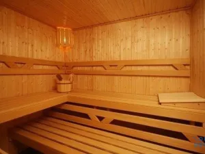 Pronájem bytu 1+kk, Praha - Žižkov, Kališnická, 32 m2