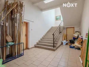 Prodej obchodního prostoru, Petrov, 615 m2