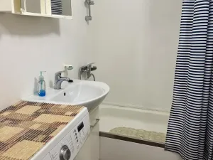 Prodej bytu 1+kk, Ostrava - Moravská Ostrava, Lechowiczova, 27 m2