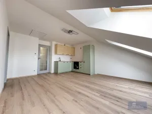 Pronájem bytu 2+kk, Praha, Kotlaska, 52 m2