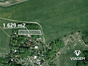 Prodej lesa, Prostějovičky, 1629 m2