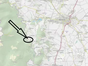 Prodej lesa, Prostějovičky, 1629 m2