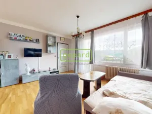 Prodej bytu 2+1, Ústí nad Labem - Krásné Březno, Anežky České, 53 m2