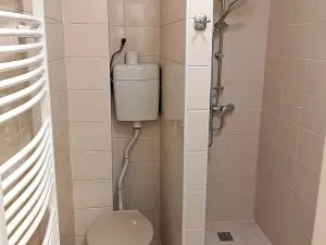 Pronájem bytu 1+1, Opava, Těšínská, 50 m2