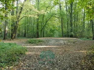 Prodej bytu 2+kk, Praha - Uhříněves, Přátelství, 38 m2