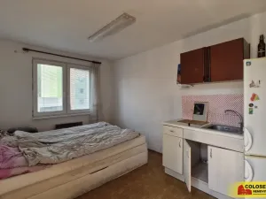 Prodej obchodního prostoru, Pohořelice, 350 m2