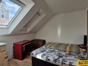 Prodej obchodního prostoru, Pohořelice, 350 m2