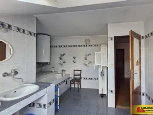 Prodej obchodního prostoru, Pohořelice, 350 m2