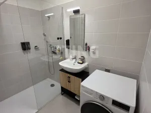 Pronájem bytu 3+kk, Opava, Boženy Němcové, 63 m2