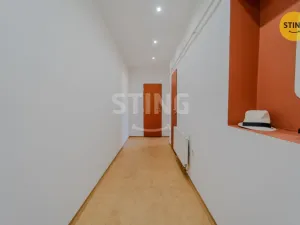 Prodej bytu 1+1, Opava, Kolářská, 41 m2