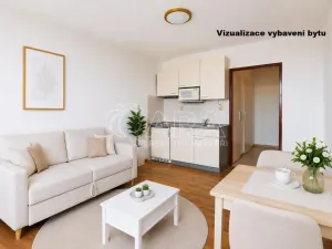 Prodej bytu 1+kk, Tábor, Budějovická, 24 m2