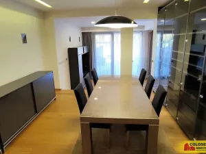Pronájem rodinného domu, Brno, Dykova, 316 m2