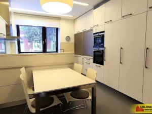 Pronájem rodinného domu, Brno, Dykova, 316 m2