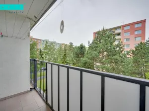 Pronájem bytu 3+1, Olomouc - Nová Ulice, Jílová, 74 m2