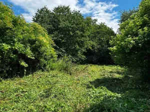 Prodej rodinného domu, Hulín - Chrášťany, 370 m2