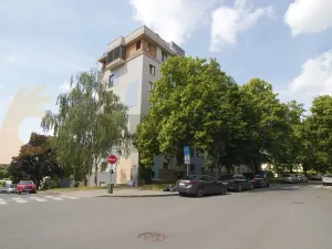 Prodej bytu 2+1, Praha - Žižkov, Pod lipami, 52 m2