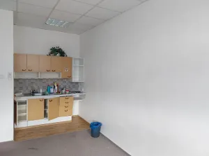 Pronájem kanceláře, Brno, 235 m2
