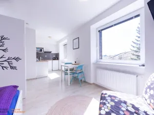 Prodej bytu 1+kk, Staré Město - Stříbrnice, 30 m2