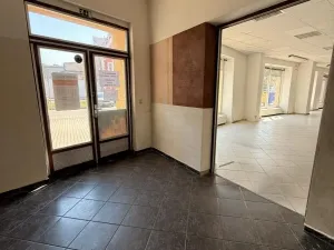 Prodej komerční nemovitosti, Prostějov, Wolkerova, 300 m2