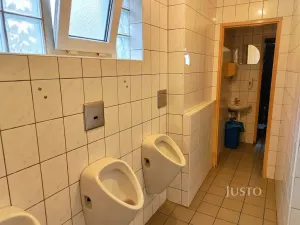 Prodej rodinného domu, Písek, Hradiště, 497 m2
