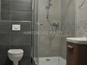 Pronájem bytu 1+kk, České Budějovice - České Budějovice 7, Šumavská, 29 m2