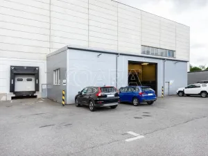 Pronájem výrobních prostor, Písek - Budějovické Předměstí, U Vodárny, 6421 m2
