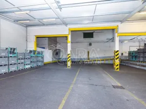 Pronájem výrobních prostor, Písek - Budějovické Předměstí, U Vodárny, 6421 m2