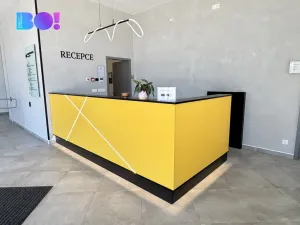 Pronájem kanceláře, Praha, U vinných sklepů, 41 m2