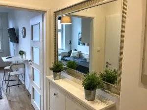 Pronájem bytu 1+kk, Praha - Vinohrady, Polská, 21 m2