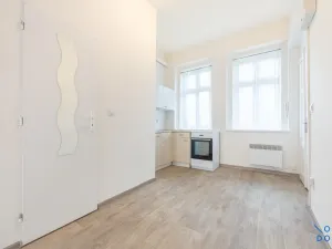 Pronájem bytu 1+1, Praha - Žižkov, Husitská, 28 m2