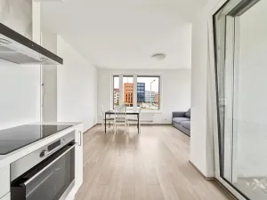 Pronájem bytu 2+kk, Praha - Holešovice, Jankovcova, 56 m2