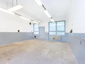 Pronájem výrobních prostor, Písek - Budějovické Předměstí, U Vodárny, 110 m2