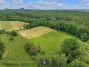 Prodej pozemku pro bydlení, Svojkov, 3106 m2