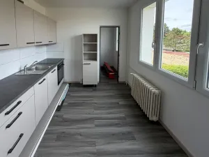 Prodej bytu 2+1, Roudnice nad Labem, Vrchlického, 56 m2
