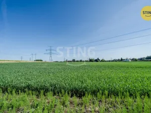 Prodej pozemku pro bydlení, Pazderna, 1000 m2