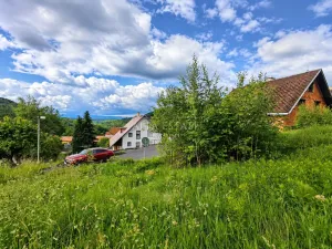 Prodej louky, Oloví, Horní, 420 m2