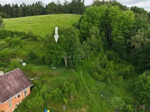 Prodej louky, Oloví, Horní, 420 m2