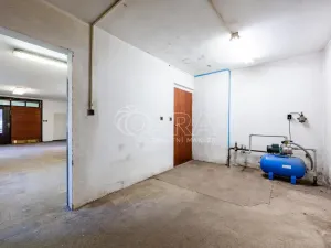 Prodej vícegeneračního domu, Tlustice, 250 m2