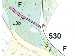 Prodej lesa, Řimovice, 522 m2