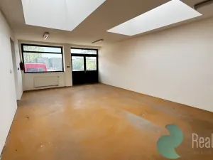 Prodej výrobních prostor, České Budějovice, K Dolíčku, 314 m2