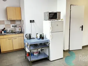 Pronájem výrobních prostor, České Budějovice, K Dolíčku, 314 m2