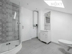 Prodej rodinného domu, Staré Město, Jamnická, 250 m2