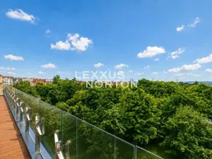 Pronájem bytu 5+1, Praha - Vinohrady, Chopinova, 204 m2