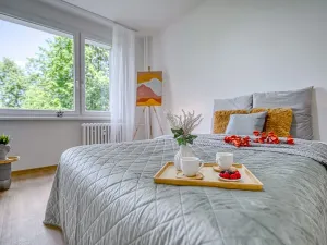 Pronájem bytu 2+1, Trutnov - Horní Staré Město, Pomněnková, 55 m2