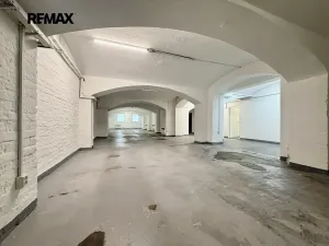 Pronájem skladu, Plzeň, Zikmunda Wintra, 520 m2